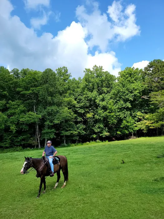 Trackrock Stables 3