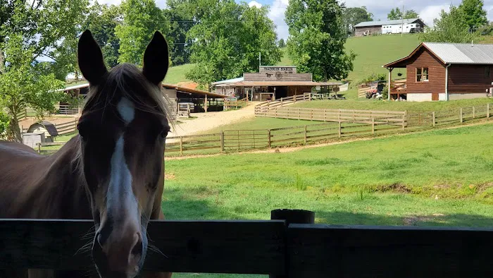Trackrock Stables 1