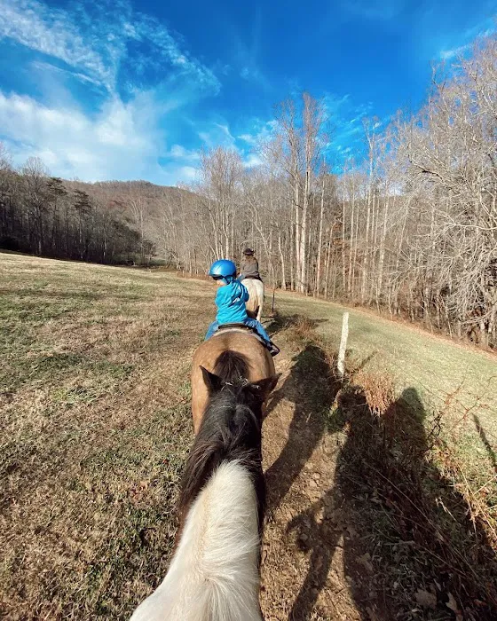 Trackrock Stables 7