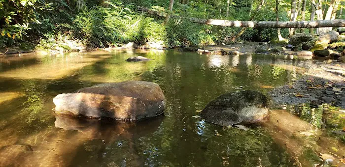 Trout Creek Campground 1