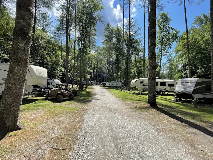 Trout Creek Campground 4
