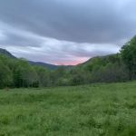 Trout Creek Campground