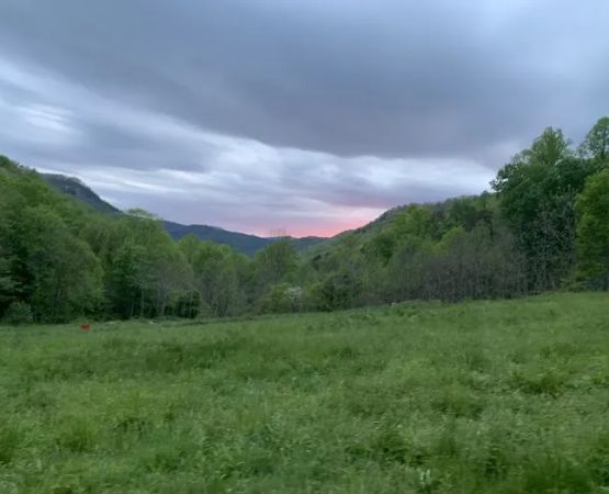 Trout Creek Campground