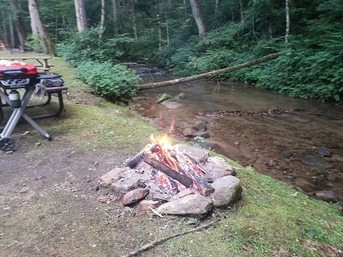 Trout Creek Campground 8