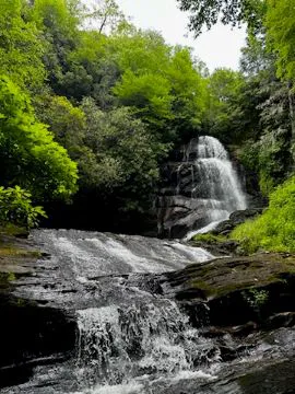 Camp Uptown Backwoods 0