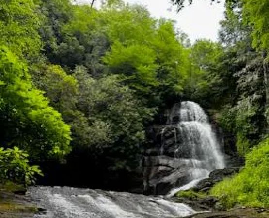 Camp Uptown Backwoods