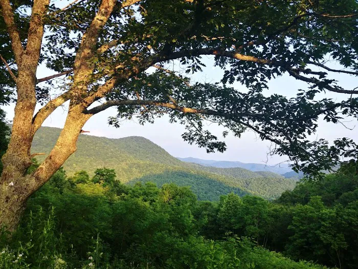 Camp Uptown Backwoods 8