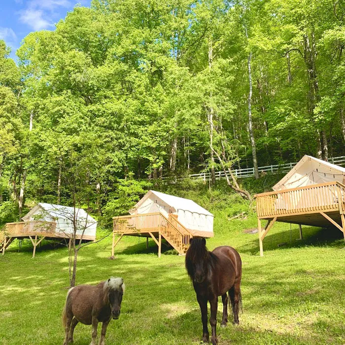 Nurture Nature Retreat 4