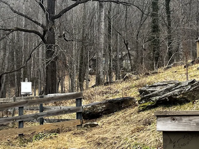 Nurture Nature Retreat 1