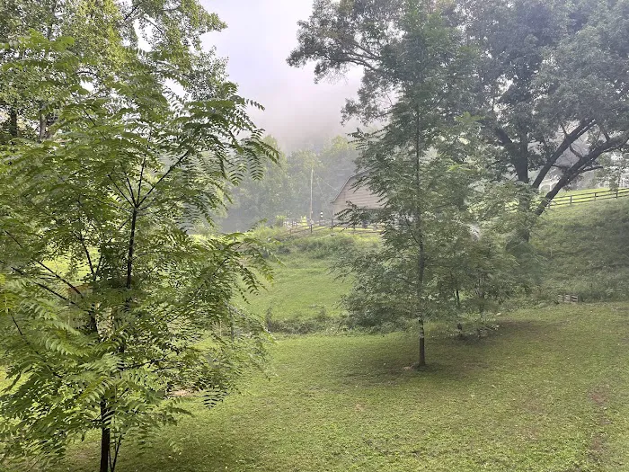 Nurture Nature Retreat 8