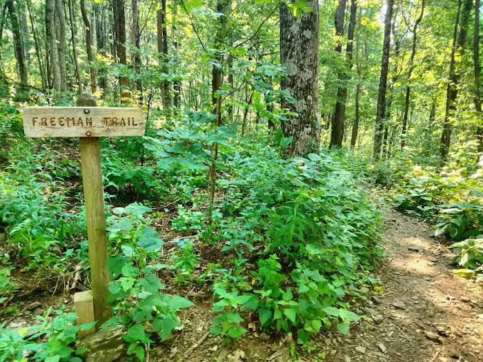 Lake Winfield Scott Recreation Area 6