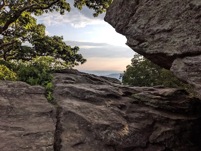 Blood Mountain Shelter 2