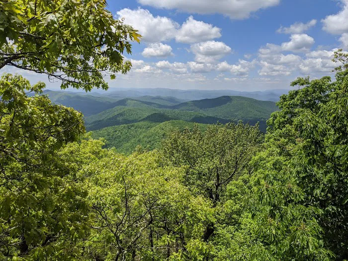 Blood Mountain Shelter 6