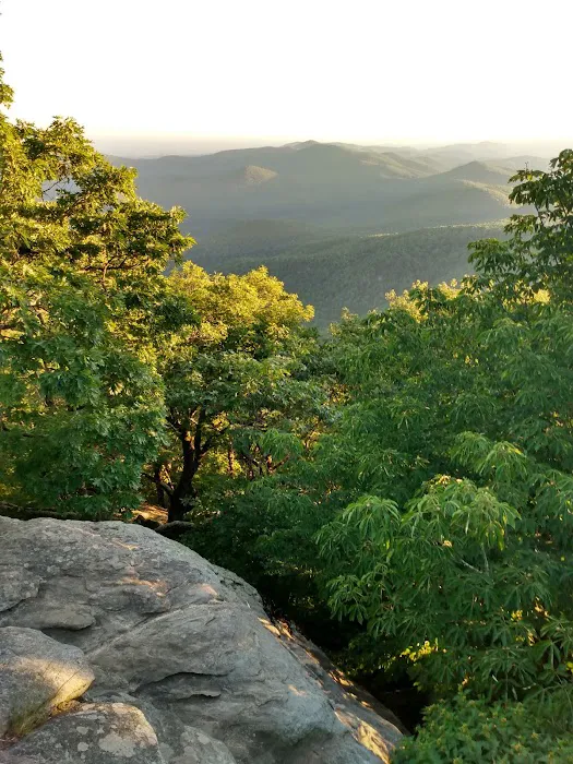 Blood Mountain Shelter 8