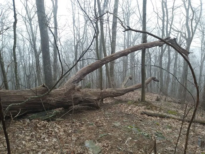 Woods Hole Shelter 6