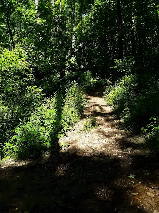 Low Gap Shelter 8