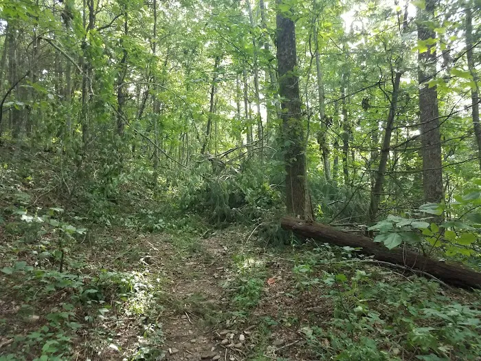 Low Gap Shelter 7
