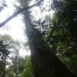 Jasus Creek Campground