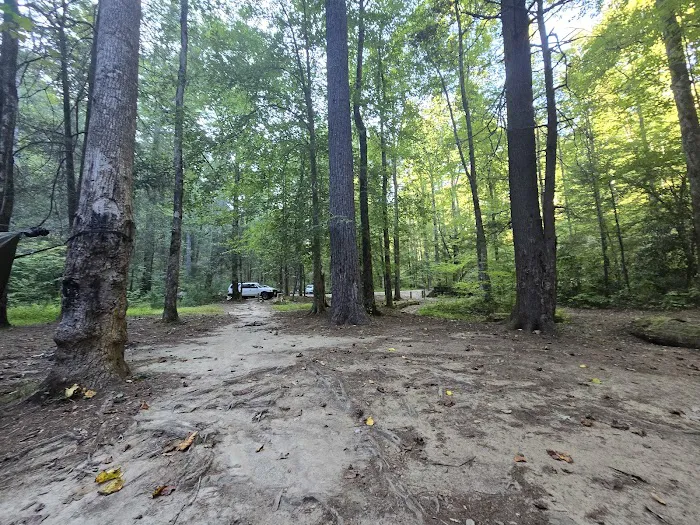 Jasus Creek Campground 6