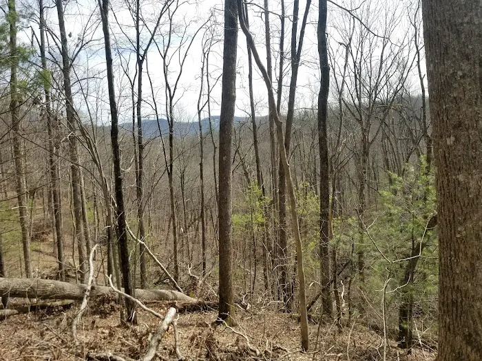 Lance Creek Campsite 3
