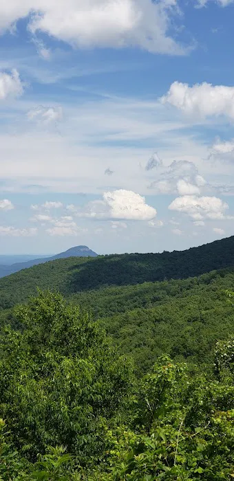 Whitley Gap Shelter 1