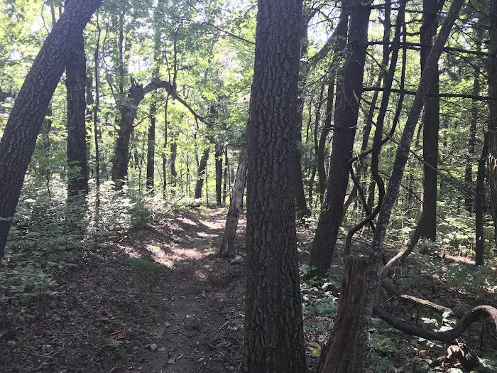 Whitley Gap Shelter 5