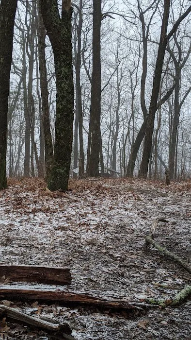 Whitley Gap Shelter 7
