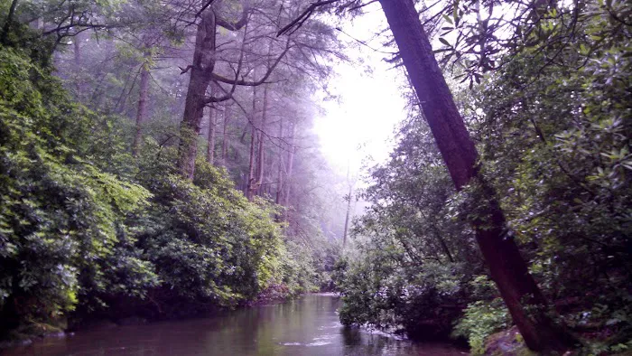 Cooper Creek Recreation Area 0