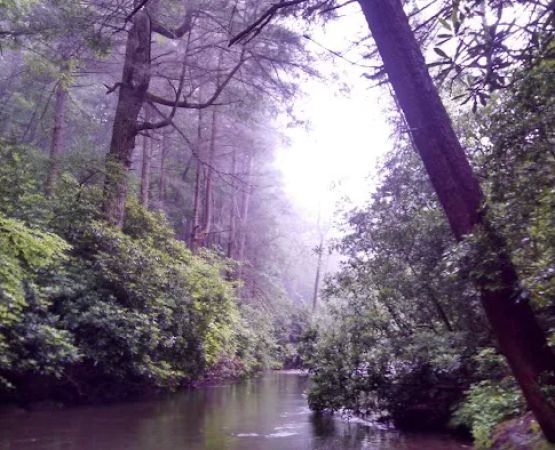 Cooper Creek Recreation Area