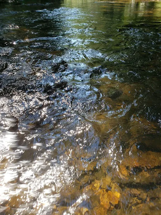 Cooper Creek Recreation Area 3