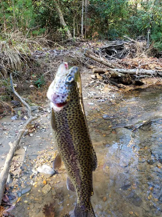 Cooper Creek Recreation Area 2