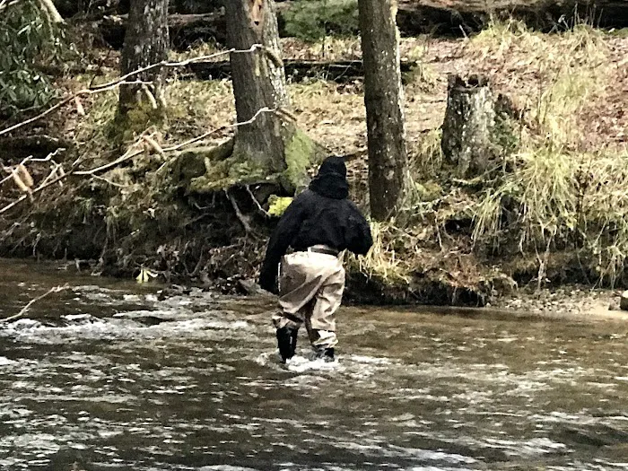 Cooper Creek Recreation Area 4