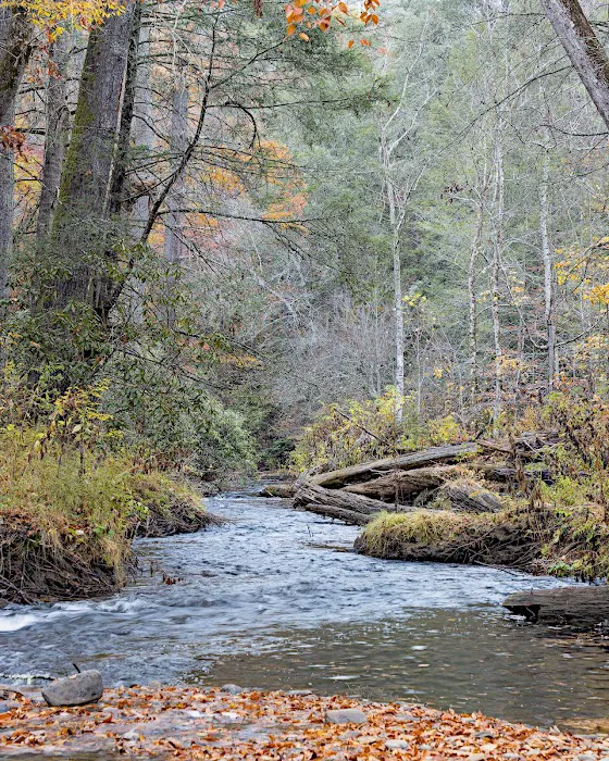 Cooper Creek Recreation Area 6