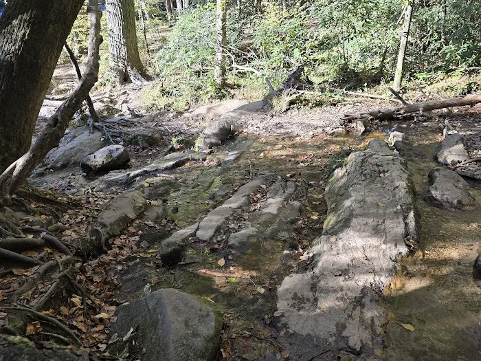 Cooper Creek Recreation Area 8