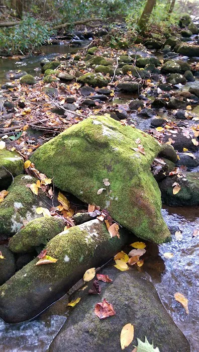 Davis Creek Campground 4