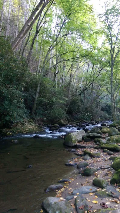 Davis Creek Campground 3