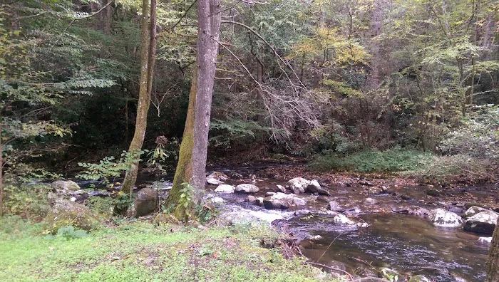 Davis Creek Campground 1