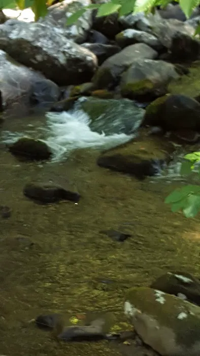 Davis Creek Campground 6