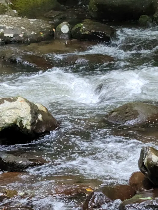 Davis Branch Campground 1