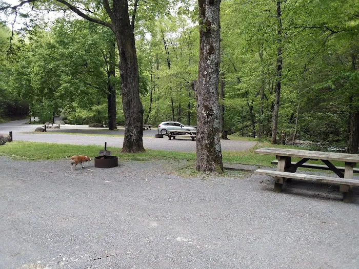 Davis Branch Campground 7