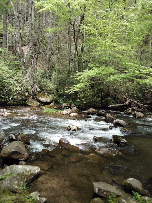 Davis Branch Campground 8