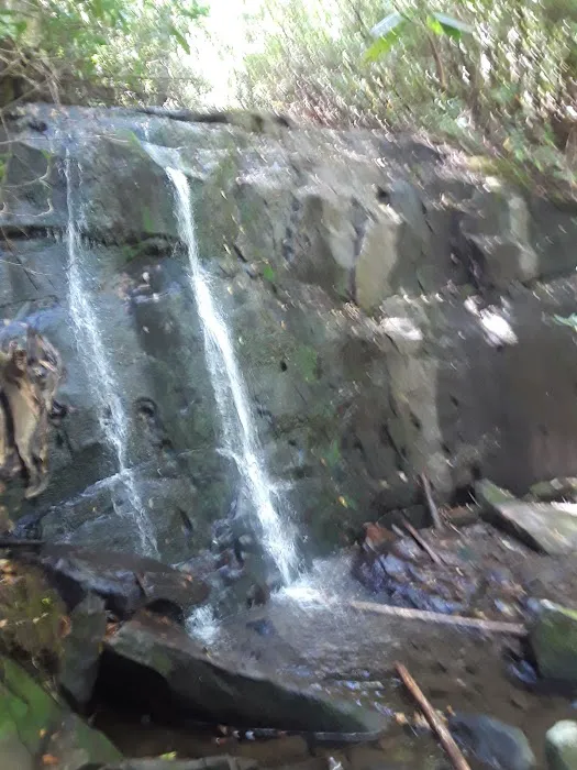 Holder Cove Campground 3
