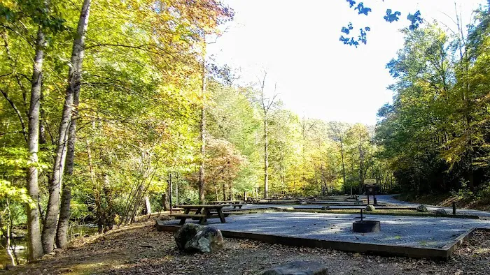 Holder Cove Campground 6