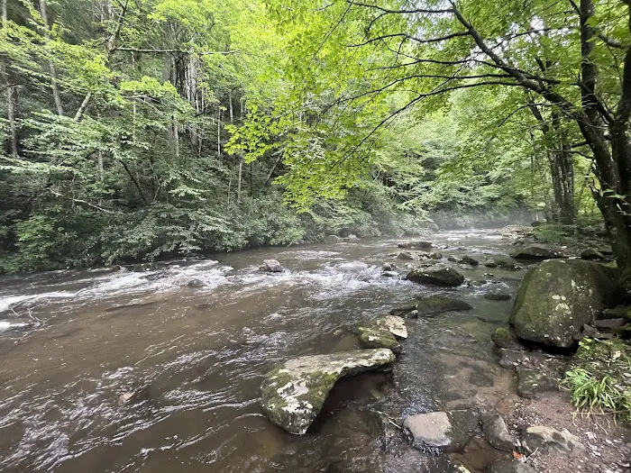 Holder Cove Campground 5