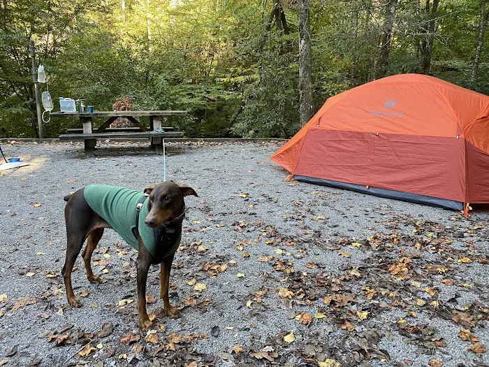 Holder Cove Campground 9