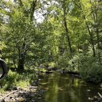 Big Oak Cove Campground