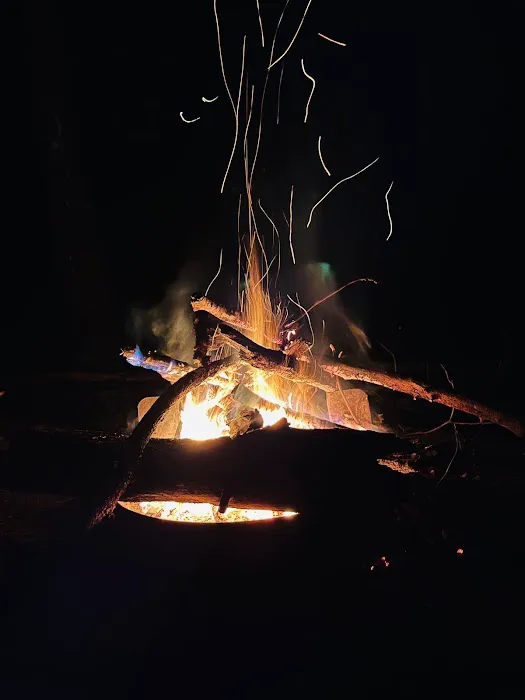 Big Oak Cove Campground 1