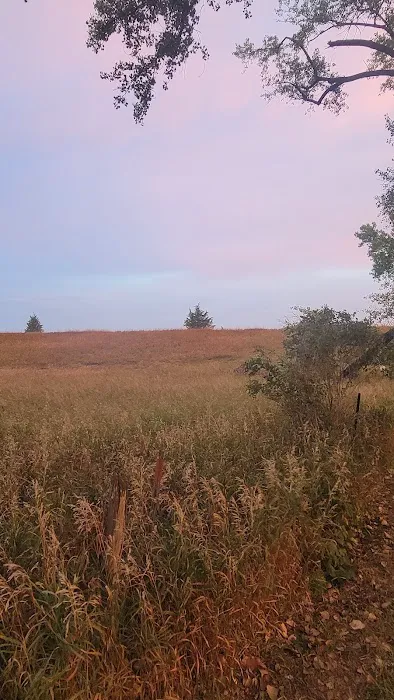 Carthage City Park (Campground) 6