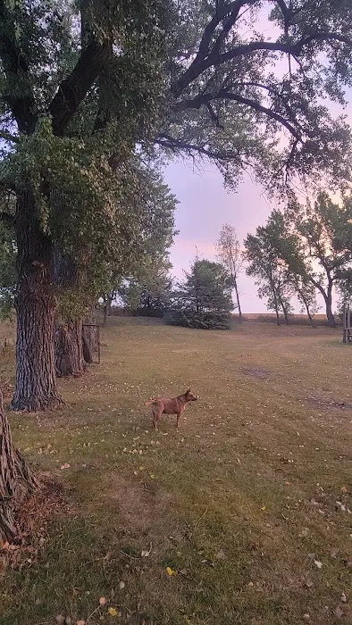 Carthage City Park (Campground) 8