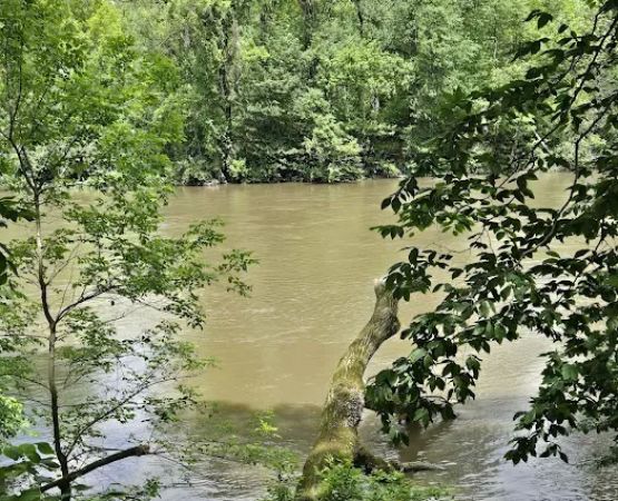 Fred J Doberstein Overlook Campground